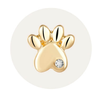 Apple Watch Band Charms, Bars, Rings & Studs